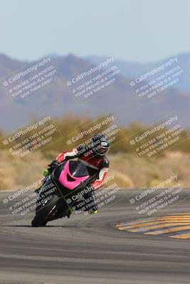 media/Mar-12-2023-SoCal Trackdays (Sun) [[d4c8249724]]/Turn 15 (145pm)/